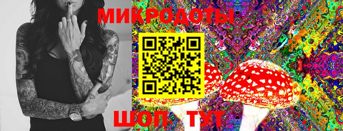 Псилоцибиновые грибы MAGIC MUSHROOMS Заводоуковск