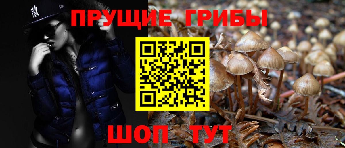 что такое наркотик  Галлюциногенные грибы мицелий  Вход с VPN  Заводоуковск 